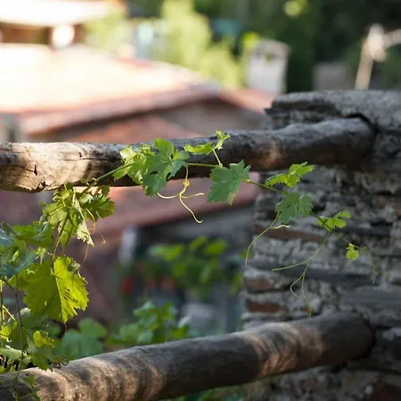 Comfortable In With Balcony And View Apartment *