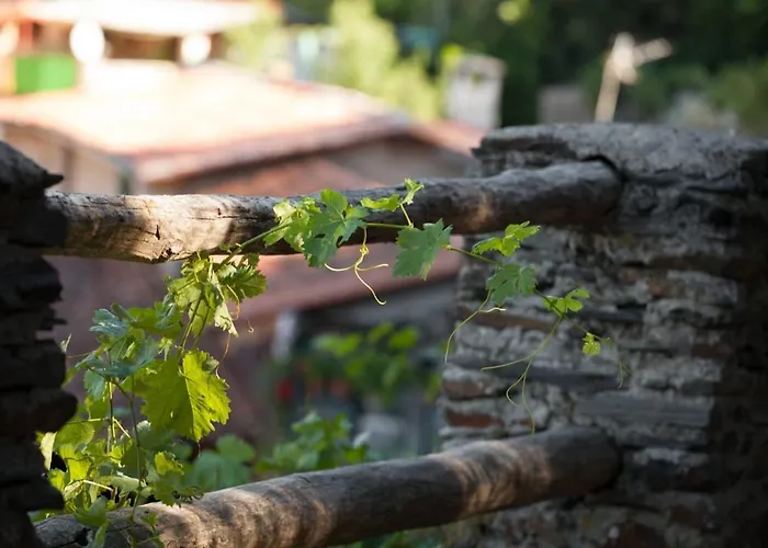 Comfortable In With Balcony And View Appartamento *